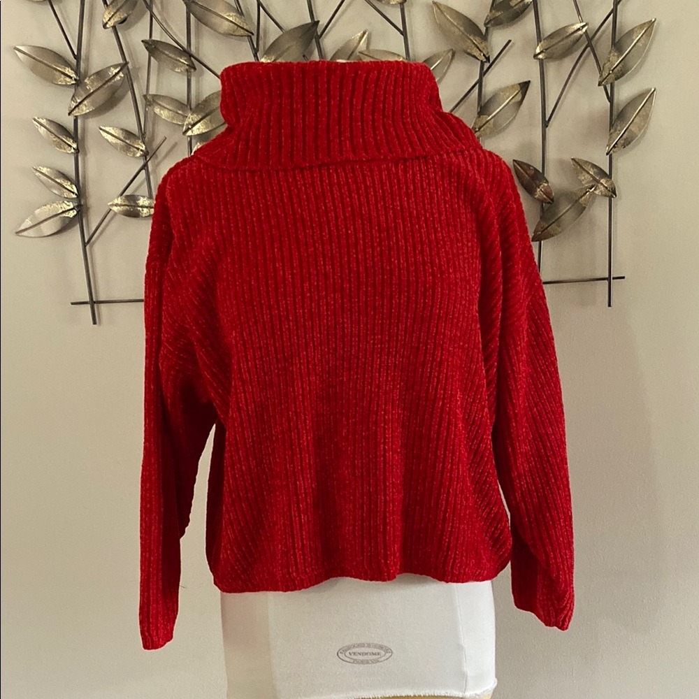 Ruby Rd Red Chunky Knit Turtleneck Sweater
